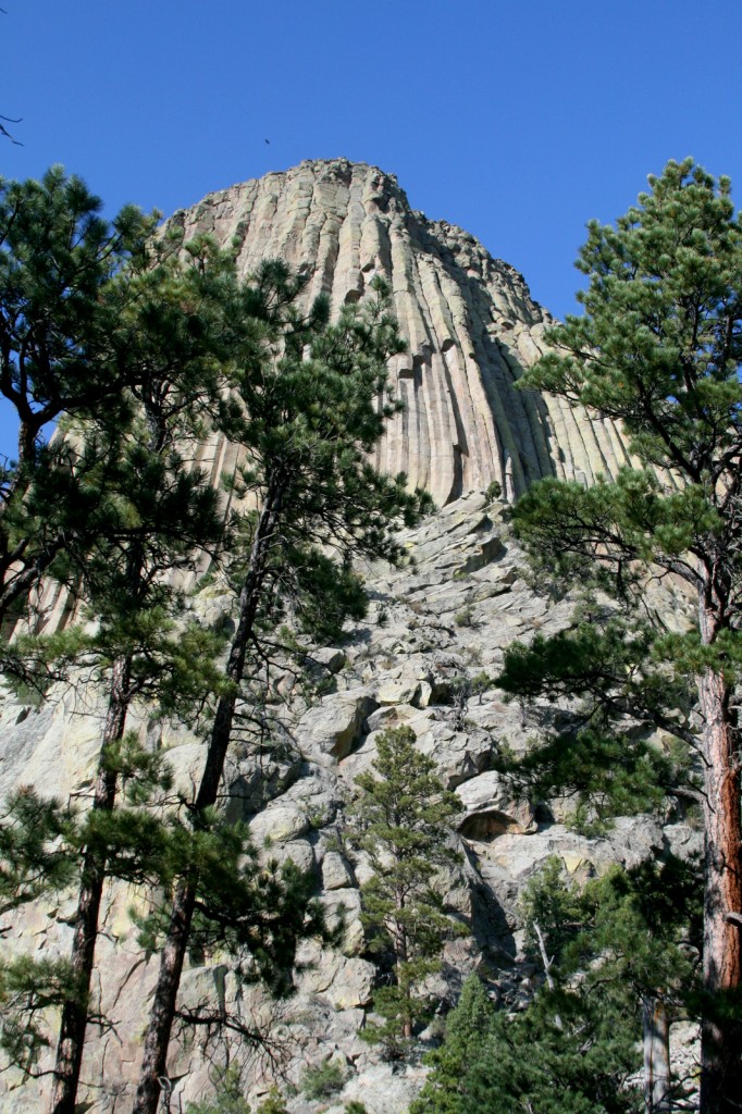 Devil's Tower