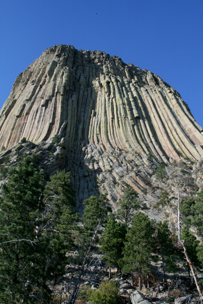 Devil's Tower
