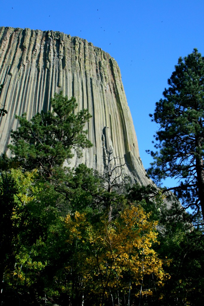 Devil's Tower