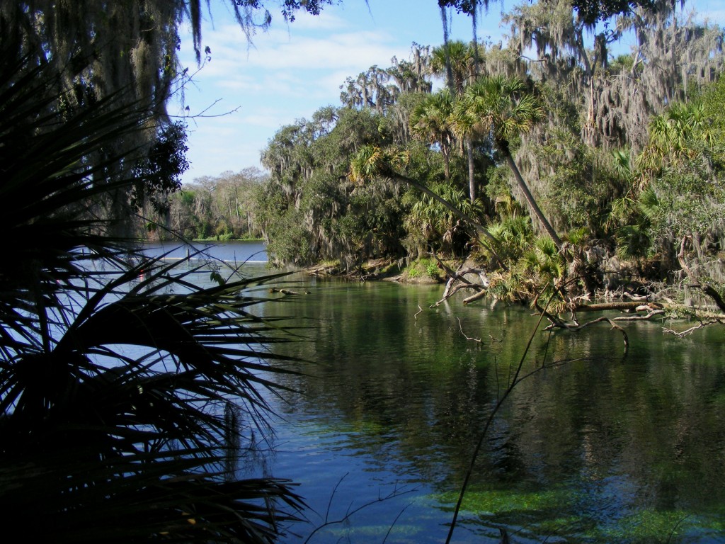 Blue Spring Run