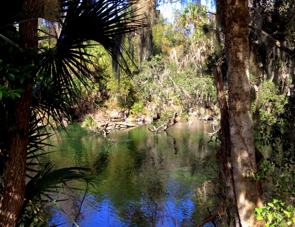 Blue Spring Run