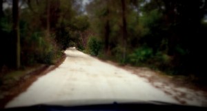 The sandy track