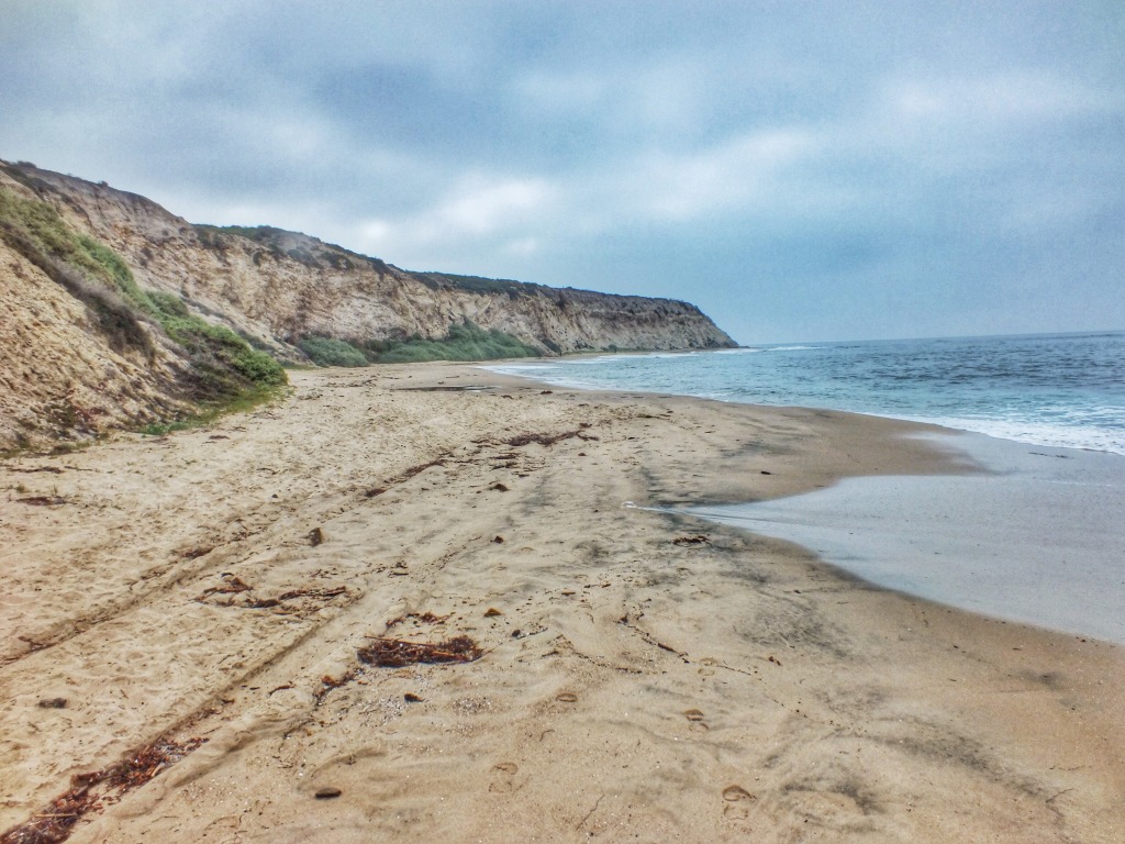 IMG_0455