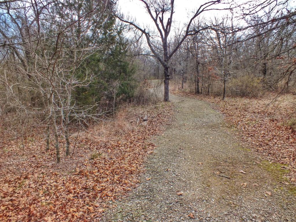 IMG_1039
