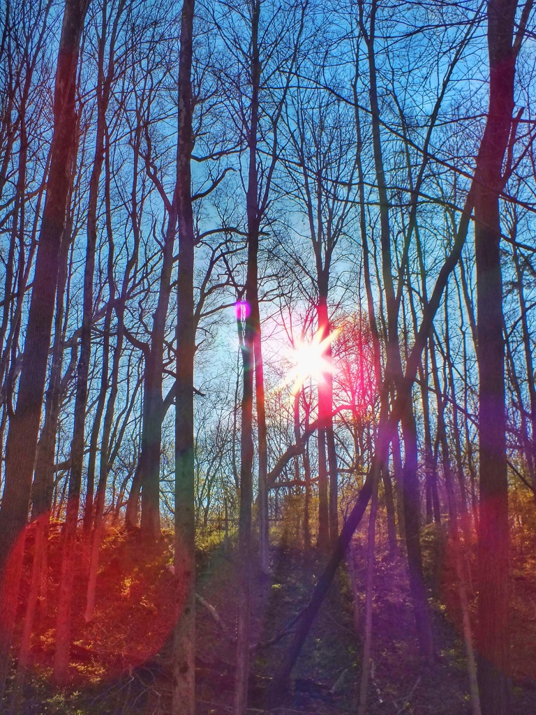 IMG_1573