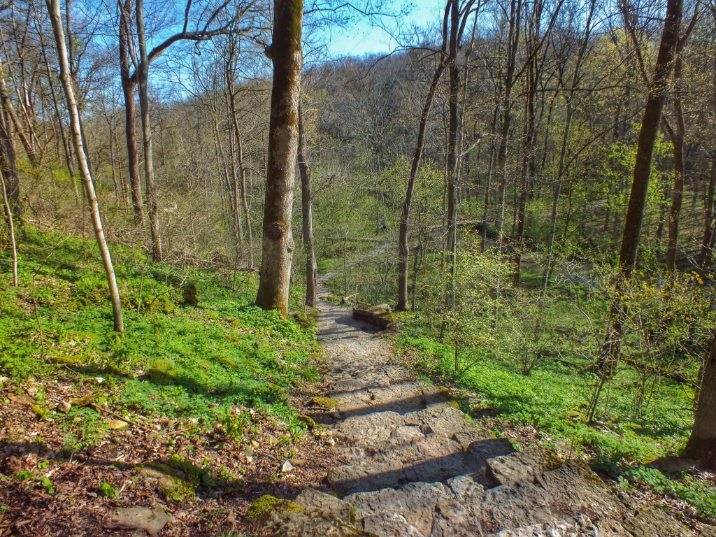 IMG_1592