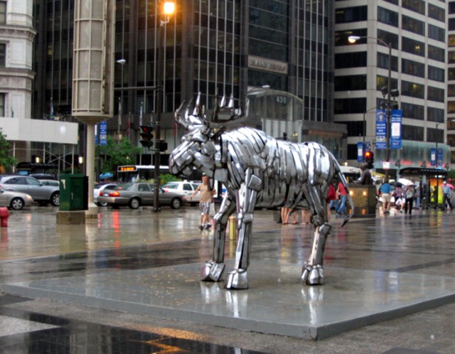Wet moose in Pioneer Court