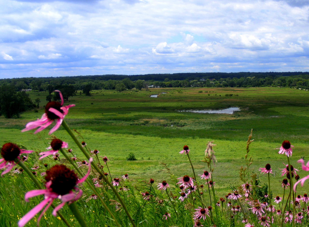 Glacial Park - June, 2009 Glacial Park - June, 2009