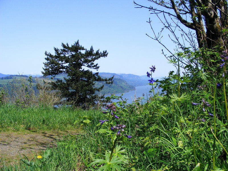 Looking east down the Columbia River Gorge Looking east down the Columbia River Gorge