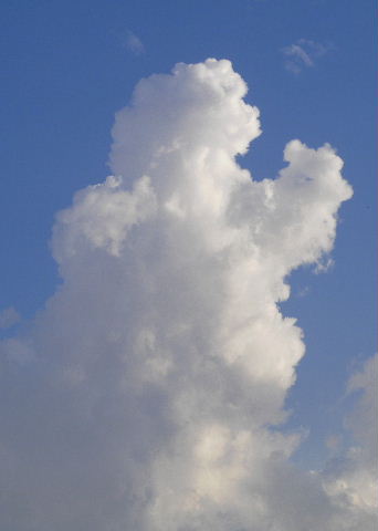 Godzilla Cloud