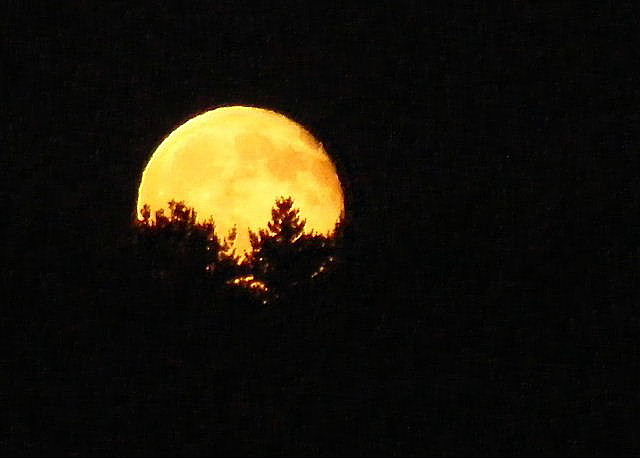 Main Street Prairie - September 16, 2008