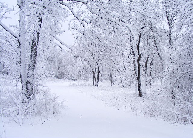 Main Street Prairie - March 29, 2009