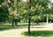Looking southwest down the length of the battlefield from near the monument.